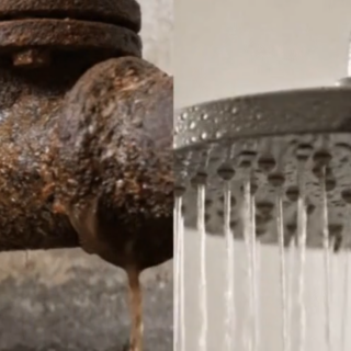 How to Choose the Right Shampoo for Your Hair Type