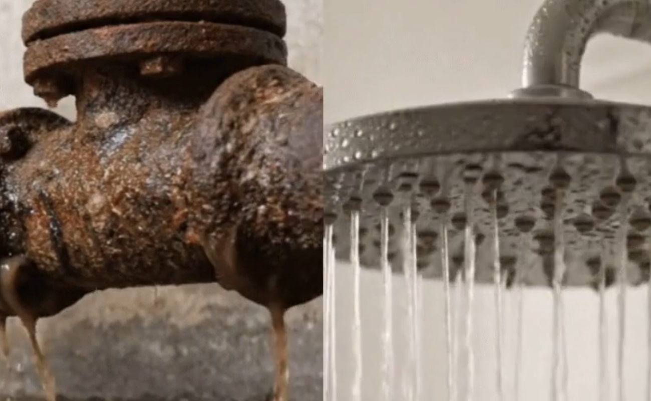 Shower Filter for Hair Loss — 6-Week Test Results